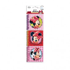 Set  3 carnetele Disney Minnie